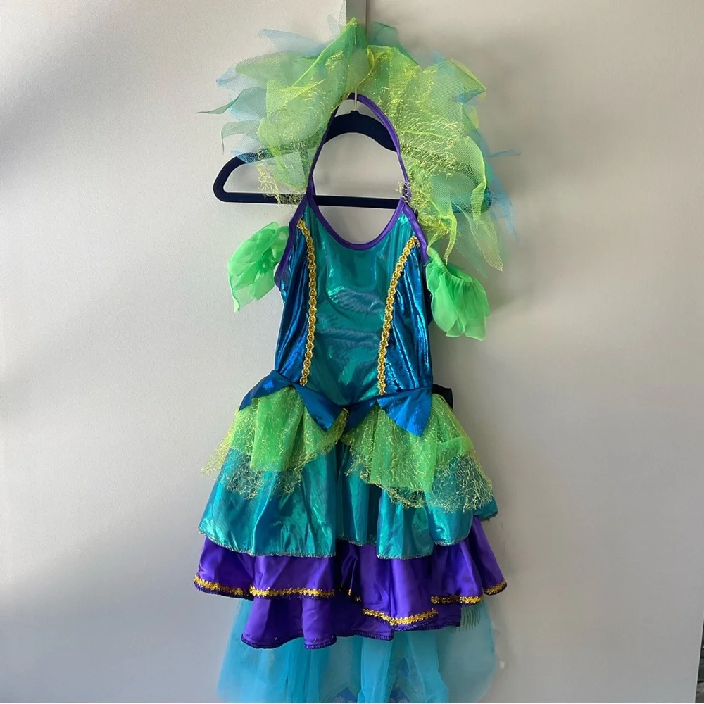 Peacock Costume